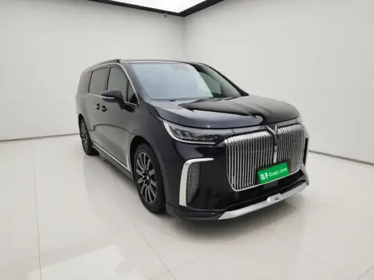VOYAH Dream 2025 (14100 км)