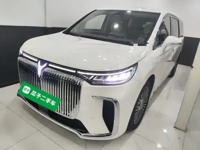 VOYAH Dream 2025 (14100 км)