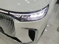 VOYAH Dream 2025 (14100 км)