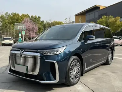 VOYAH Dream 2025 (13500 км)