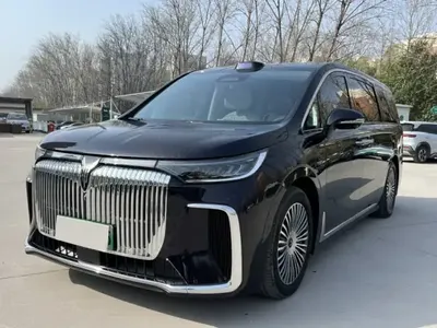 VOYAH Dream 2025 (14600 км)