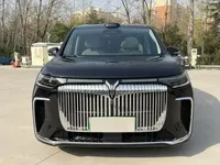 VOYAH Dream 2025 (14600 км)