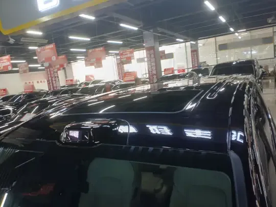 VOYAH Dream 2025 (14600 км)