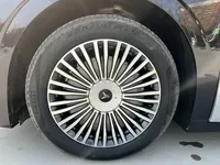 VOYAH Dream 2025 (14600 км)
