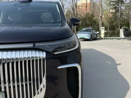 VOYAH Dream 2025 (14600 км)