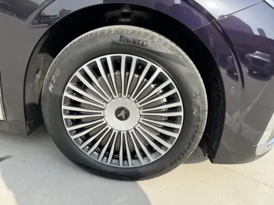 VOYAH Dream 2025 (14600 км)
