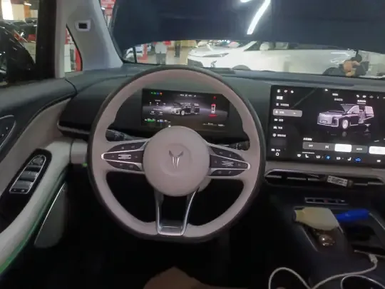 VOYAH Dream 2025 (14600 км)