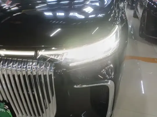 VOYAH Dream 2025 (14600 км)