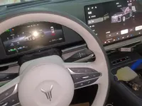 VOYAH Dream 2025 (14600 км)