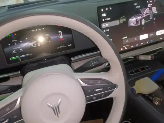 VOYAH Dream 2025 (14600 км)