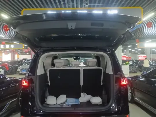 VOYAH Dream 2025 (14600 км)