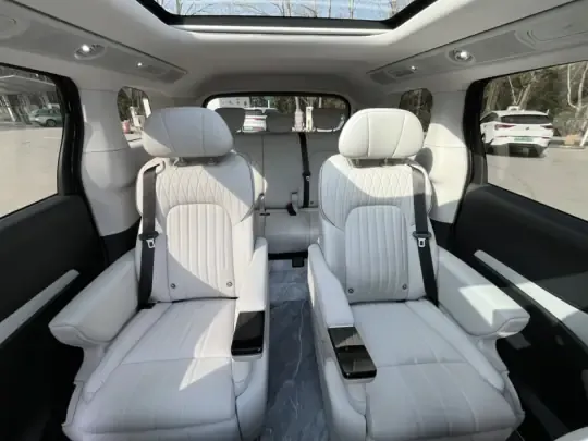 VOYAH Dream 2025 (14600 км)