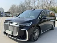 VOYAH Dream 2025 (14600 км)