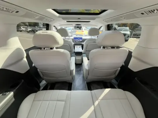 VOYAH Dream 2025 (14600 км)