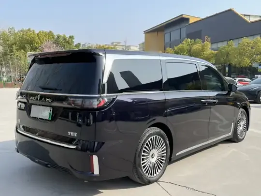 VOYAH Dream 2025 (14600 км)