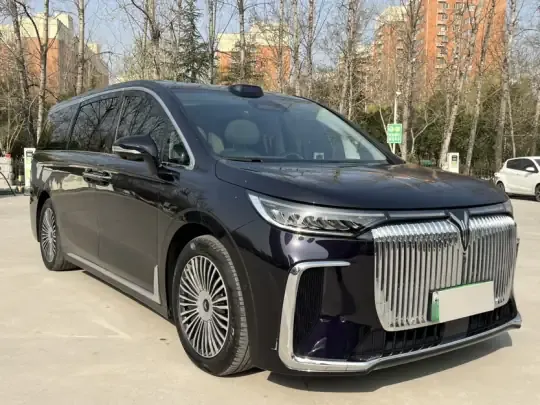 VOYAH Dream 2025 (14600 км)
