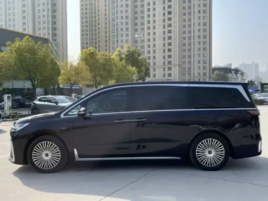 VOYAH Dream 2025 (14600 км)