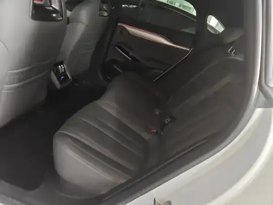 BYD Song L EV 2025 (42100 км)