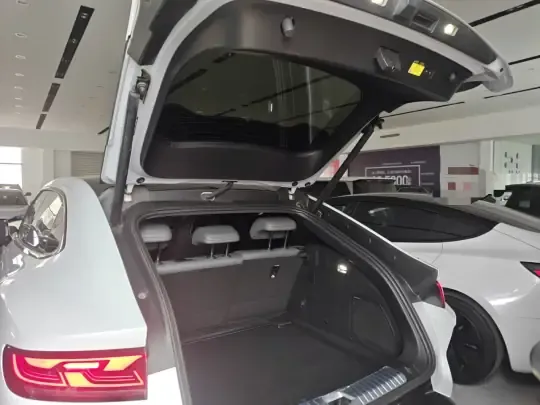BYD Song L EV 2025 (42100 км)