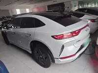 BYD Song L EV 2025 (42100 км)