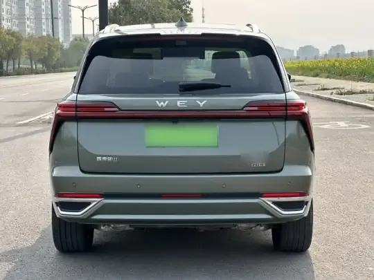 Wey Lanshan 2025 (12300 км)