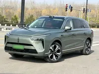 Wey Lanshan 2025 (24000 км)