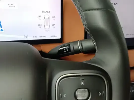 Wey Lanshan 2025 (24000 км)