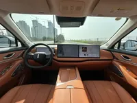 Wey Lanshan 2025 (24000 км)