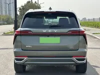 Wey Lanshan 2025 (24000 км)