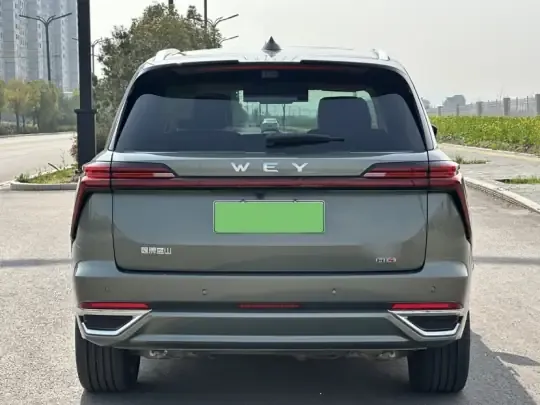 Wey Lanshan 2025 (24000 км)