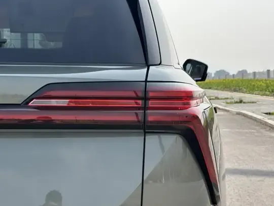 Wey Lanshan 2025 (24000 км)