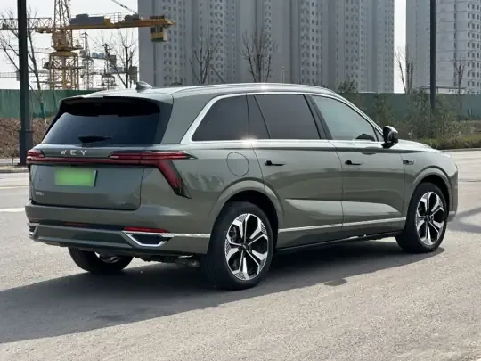 Wey Lanshan 2025 (24000 км)