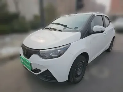 JMEV Xiao Qilin 2024 (16400 км)