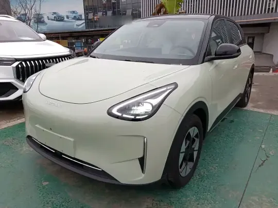 Geely Galaxy Geome 2025 (20500 км)