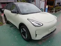 Geely Galaxy Geome 2025 (20500 км)