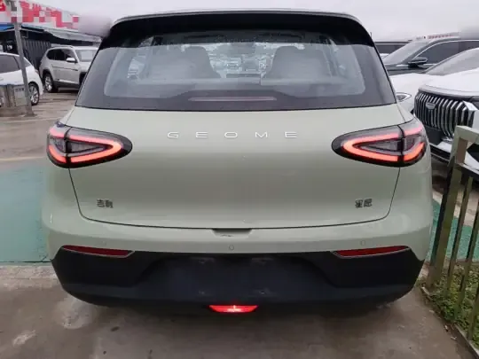 Geely Galaxy Geome 2025 (20500 км)