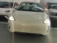 Geely Galaxy Geome 2025 (100 км)