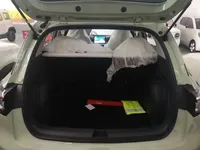 Geely Galaxy Geome 2025 (100 км)