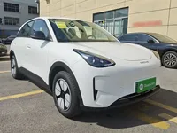 Geely Galaxy Geome 2025 (100 км)
