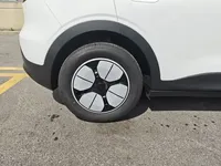 Geely Galaxy Geome 2025 (100 км)