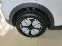 Geely Galaxy Geome 2025 (8100 км)