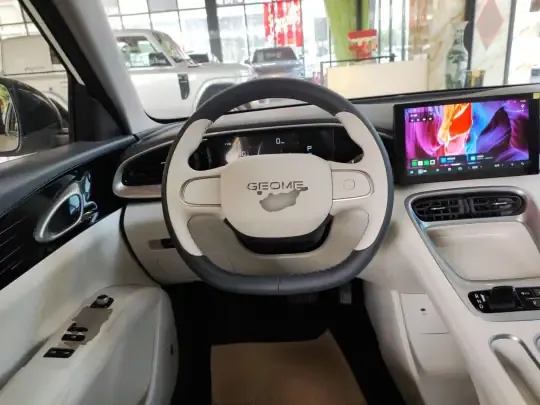 Geely Galaxy Geome 2025 (8100 км)