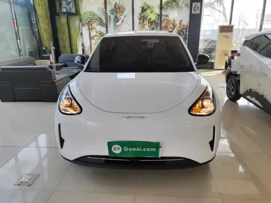 Geely Galaxy Geome 2025 (8100 км)