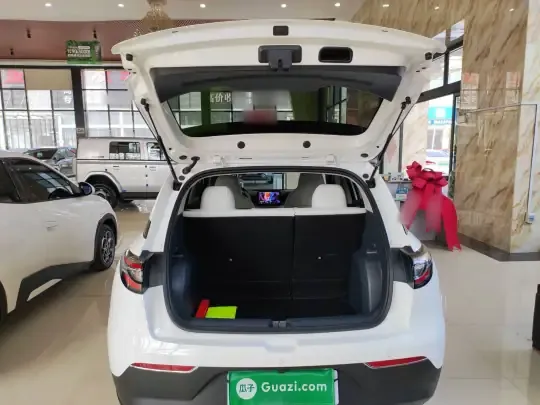 Geely Galaxy Geome 2025 (8100 км)