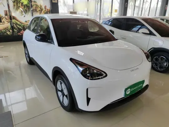 Geely Galaxy Geome 2025 (8100 км)