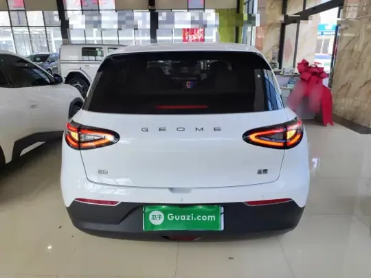 Geely Galaxy Geome 2025 (8100 км)