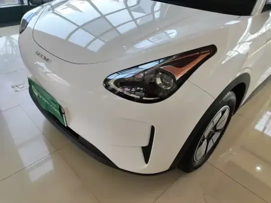 Geely Galaxy Geome 2025 (8100 км)