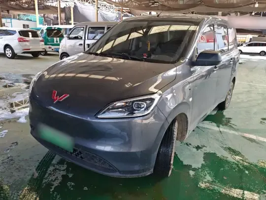 Wuling Hongguang New Energy 2024 (33400 км)