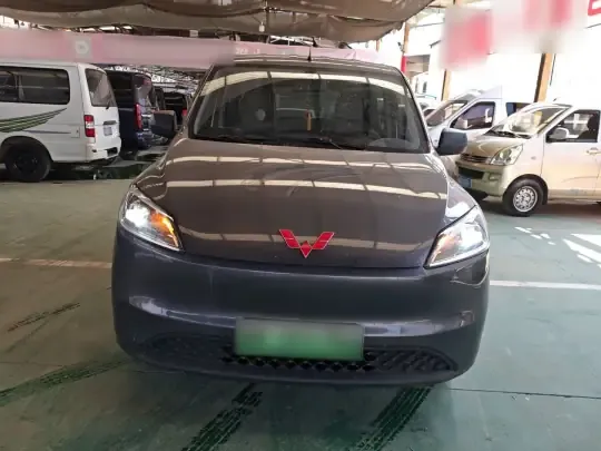 Wuling Hongguang New Energy 2024 (33400 км)