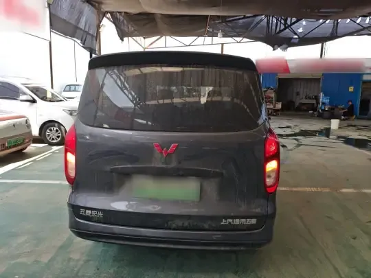 Wuling Hongguang New Energy 2024 (33400 км)